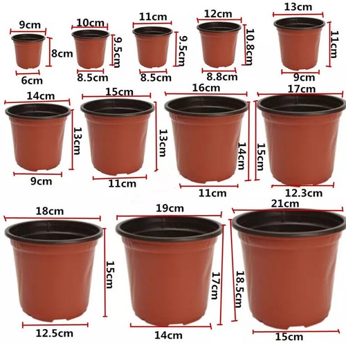 Plastic plant flower - plastic,